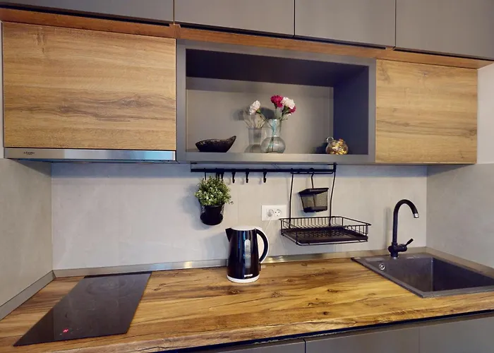 Istra_28 Titova Апартаменты Златибор